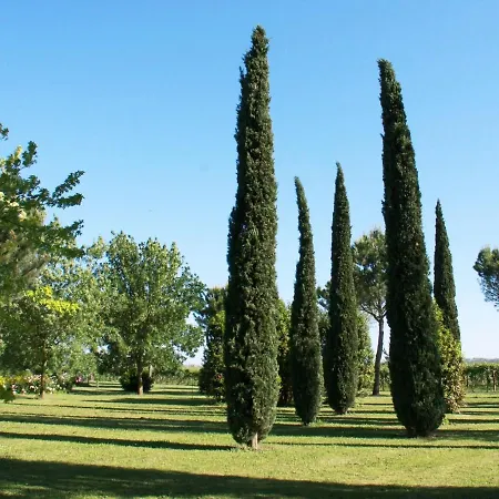 Belvilla By Oyo La Commenda Sei Faenza
